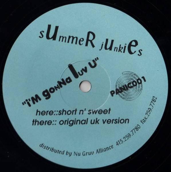 

12inch Record SUMMER JUNKIES Im Gonna Luv U PANIC001 Panic Records 1996 US Dance Electronica Used