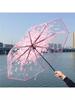 Transparent Folding Automatic Umbrella for Girls, High-Quality, Portable, Suitable for Female Students, Dual-Use for Sun and Rain, Stylish Korean