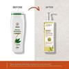 Jiva Heena Shampoo 200 Ml X Pack Of 3 Deep Cleansing Hair Wash For Long Healthy Strong Hair With Natural Shine Care