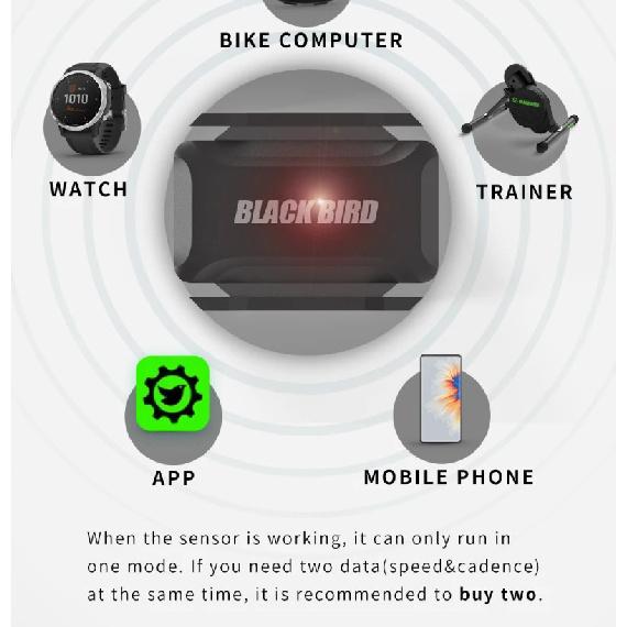 Black Bird Heart Rate Cadence Sensor Speed Speedometer ANT+ Bluetooth 5.0 Compatible with Garmin IGP Bryton Bike Computer