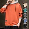 Herren Herbst Hoodie Locker Kapuzenpullover Kontrastfarben Hip Hop Lässig Warmhalten Kordelzug Koreanischer Stil Pullover Frühlings-Hoodie Herrenbekleidung