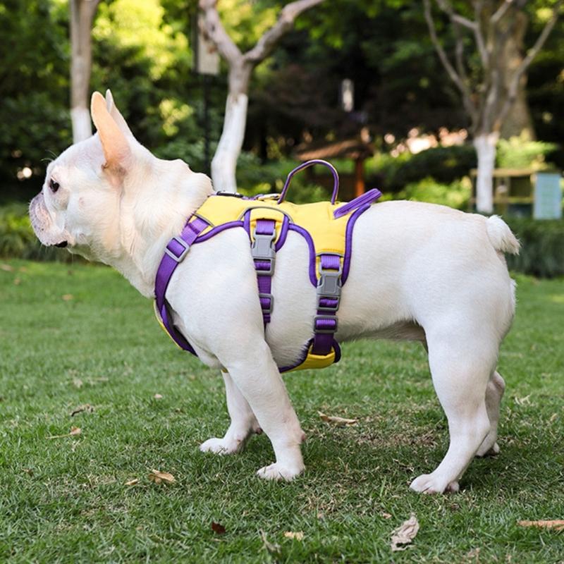Dog Harness Chest Leash Pet Vest Harness Dog Vest Walking Training Reflective Harness with Safety Buckle Dogs Pet Supply