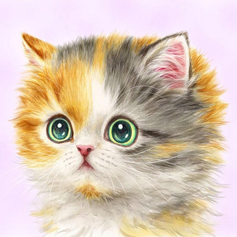 callm 5D Diamond Painting Square Drill Full Drill DIY 5D Diamond Rhinestone Crystal Painting Cross Stitch Kit Wall Art Decor by Number Kits Home Decor Cats Tiger Reflection Animal Pattern 30x30cm callm 5D Diamond Painting Square Drill Full Drill DIY 5D Diamond Rhinestone Crystal Painting Cross Stitch Kit Wall Art Decor by Number Kits Home Decor Cats Tiger Reflection Animal Pattern 30x30cm