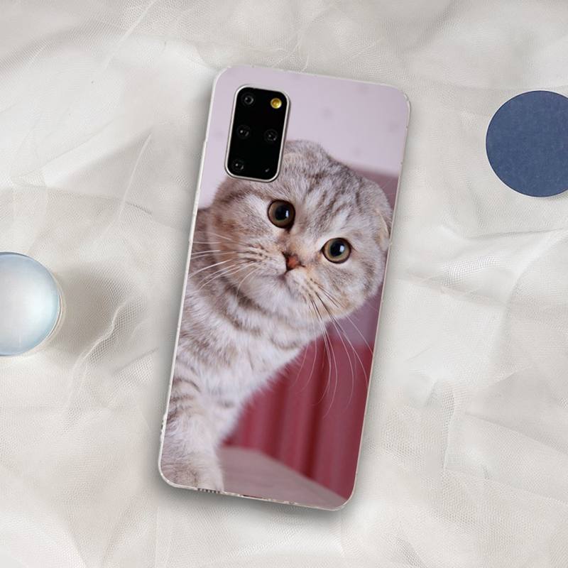 British Shorthair cat Phone Case for Samsung S21 A10 for Redmi Note 7 9 for Huawei P30Pro Honor 8X 10i cover