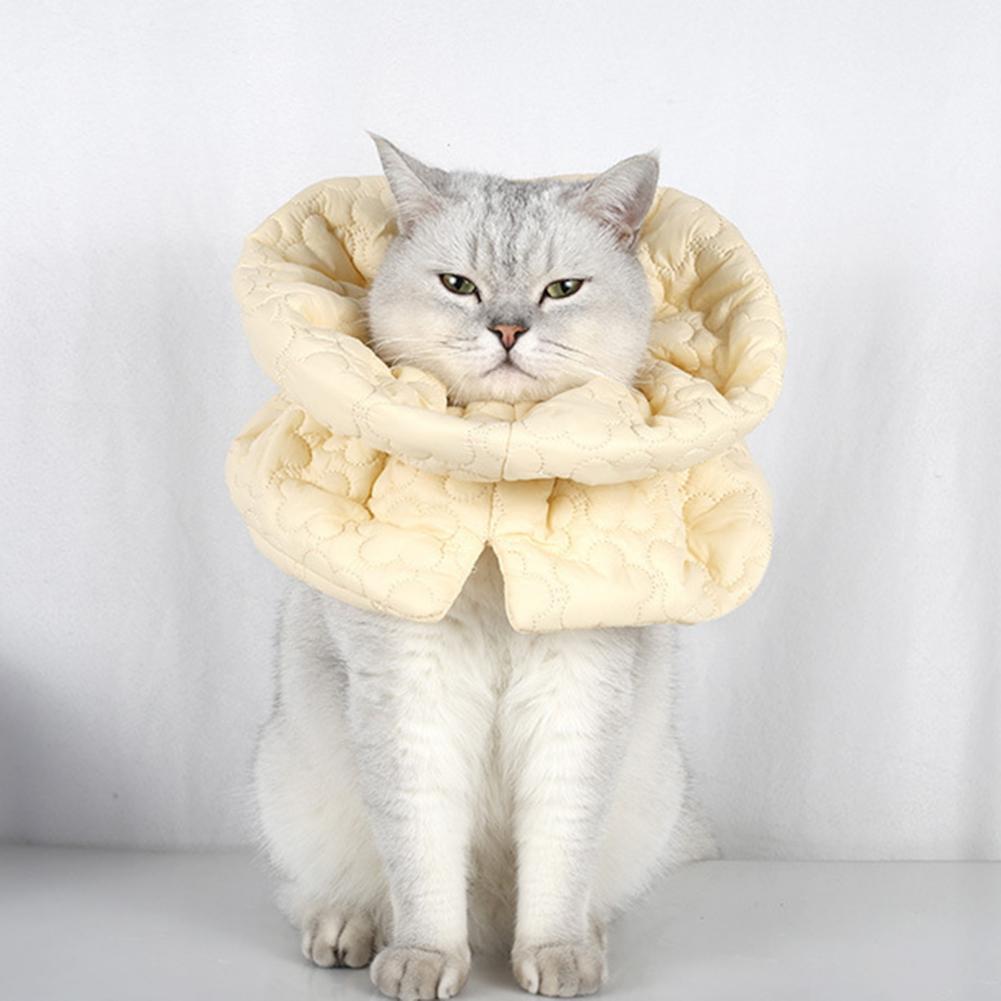 Haustier-Erholungshalsband Haustier-Kegelhalsband Blumenbesticktes Katzen-Erholungshalsband für kleine Katzen Verstellbarer Kegel zum Verhindern von Lecken Beißen