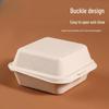 Disposable Pulp Food Boxes