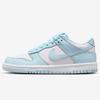 Dunk Low Casual Shoes