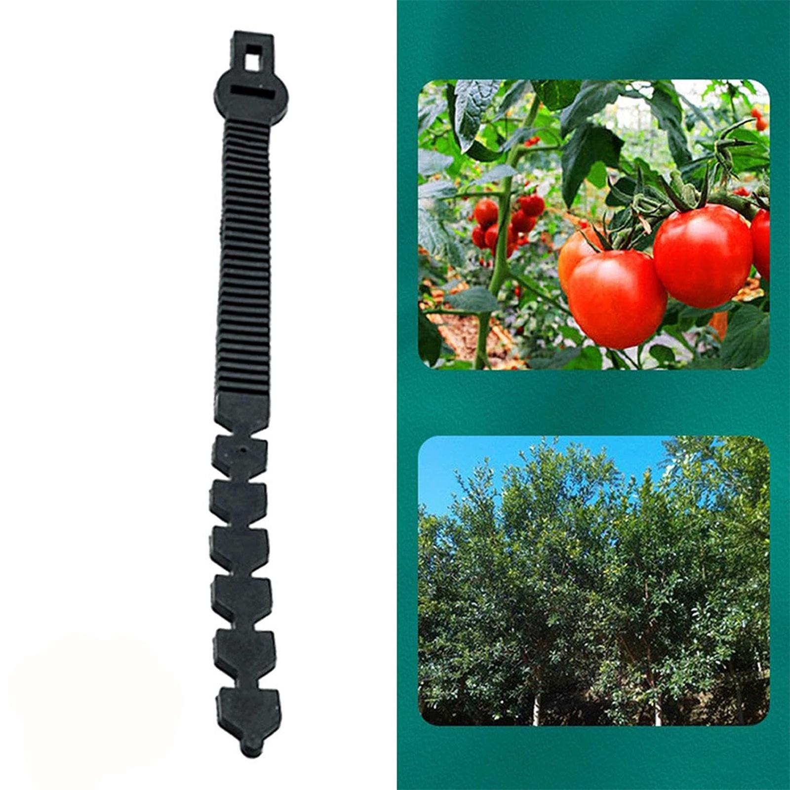 

Cross-Border Heavy-Duty Shrub Ties – Plant Supports for Roses, Vines & Tree Training One Size