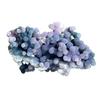 Grape Agate Raw Stone Natural Gemstone Mineral Specimen Decoration Stones Healing Quartz Gemstones Home Reiki Meditation Collection Aquarium Foreign