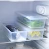 Tools Plastic Storage Containers Refrigerator Organizer Food Organizer Boxes Preservative Box