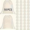 10pcs