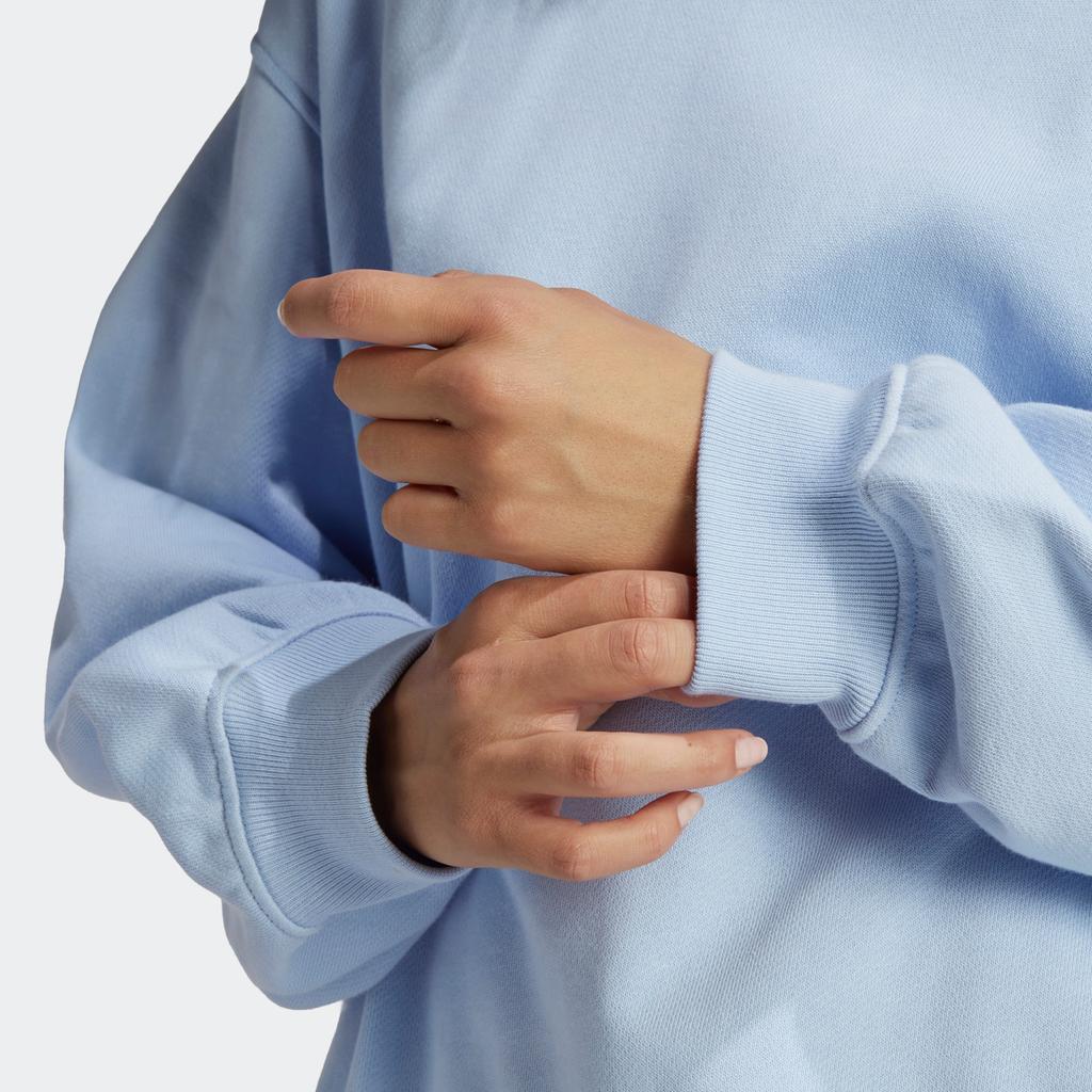 Adidas Originals Clover Logo Print Sweatshirt Women Sweatshirt Light-Pink Blue IC4976