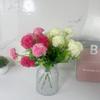 Hydrangeamacrophylla Simulated Flower Carnation Used For Decorating Decore Room