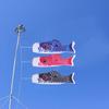 5pcs Carp Shape Flags Japanese Style Carp Shape Flags Koinobori Fish Flag Hanging Fish Flag Kite Home Restaurant Festival Decor