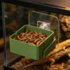 Automatischer Reptilienfutterautomat Wandmontierte Wasserschale Eidechsen-Wasserschale mit Wasserflasche für Haustier-Schildkröte Löwengecko Eidechse