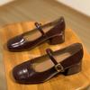 2025 Autumn New Thick Heel Mary Jane Shoes Women's Shallow Mouth One-word Buckle Strap Single Shoes High Heels