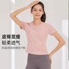 Tennis Suit Women's Short-sleeved Training Clothes Outdoor Running Quick-drying Clothes Thin Badminton T-shirt Fitness Clothes