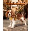 Vintage Plaid Dog Harness Leash Set Comfort Breathable Adjustable No-Choke Pet Vest for Small Medium Dogs Pechera Para Perro