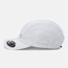 DESCENTE Running Perforated Ball Cap Gray Sr123Rcp12