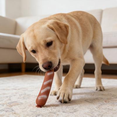 Giocattolo Resistente e Stridulo per Cani Masticatori Aggressivi Indistruttibile Forma di Coscia di Pollo Salsiccia Giocattolo da Masticare in Lattice per Cani Piccoli Medi Grandi