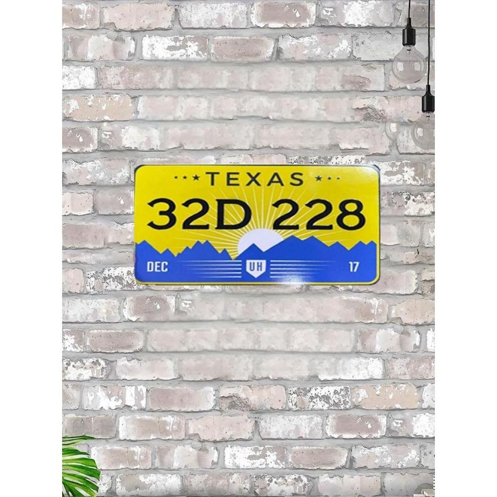 NÁS. registrační značka, USA. SPZ, kovová, 15x30 cm.