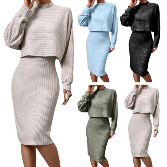 2 Stück/Set Damen Oberteil Kleid Anzug Stehkragen Faden Langarm Pullover