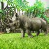 Oenux Modello Animale Selvatico di Simulazione Rinoceronte Rinoceronte Ippopotamo Ippopotamo PVC Ornamento per la Casa Animale Giocattolo Educativo per Bambini Regalo