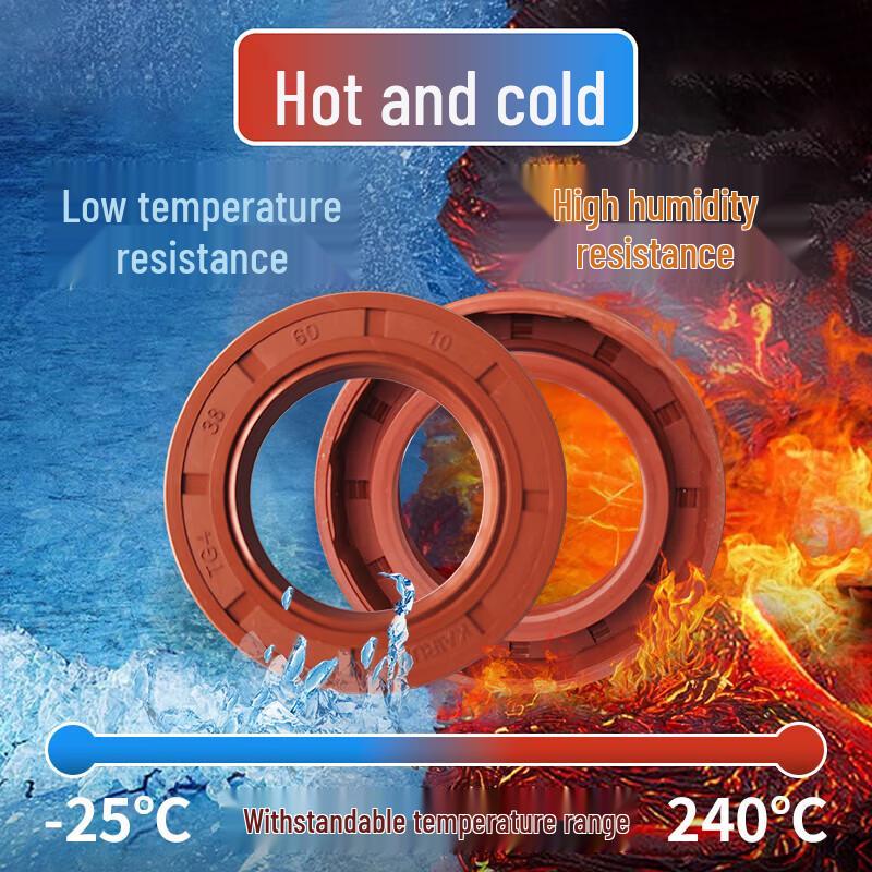 Fluororubber TC Skeleton Oil Seal