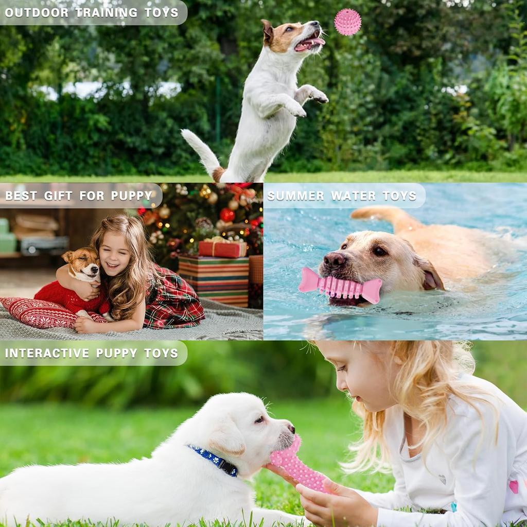 8 Pack Puppy Teething Chew Toys Set Squeaky Rubber Rope Interactive Toy for Small Medium Dogs