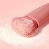 Portable Makeup Brush Set 5pcs with Mirror, Soft Powder Foundation Blending Mini Multifunctional Travel Brushes for Women Girls