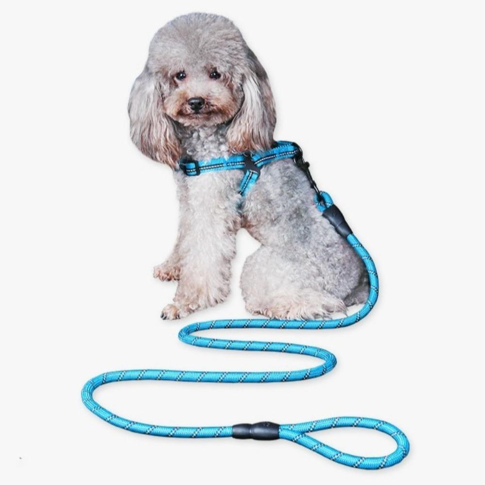 Explosion Proof Dog Leash Anti Pull Pet Climbing Rope Durable Dog Chain  Small and Medium-sized Dog