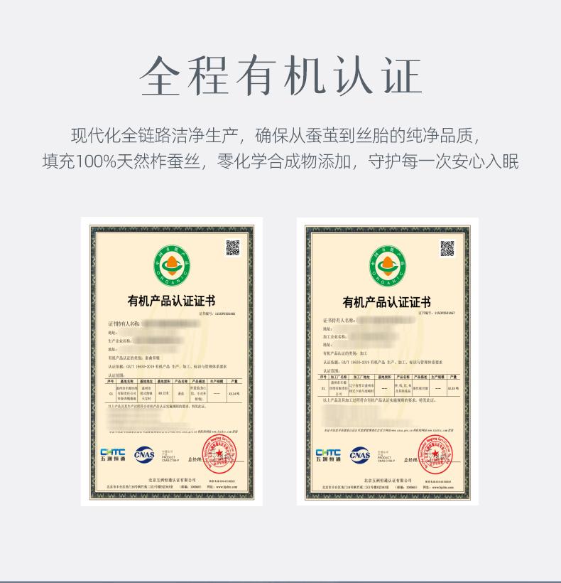 Mengjie Home Textile Class A Antibacterial 100% Silk Quilt
