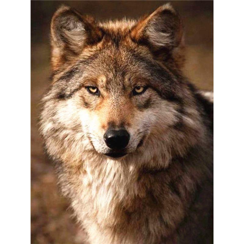 Wolf DIY 5D Diamant Malerei volle Runde Strass Gemälde Tier Diamant Stickerei Kreuzstich Mosaik Home Decor