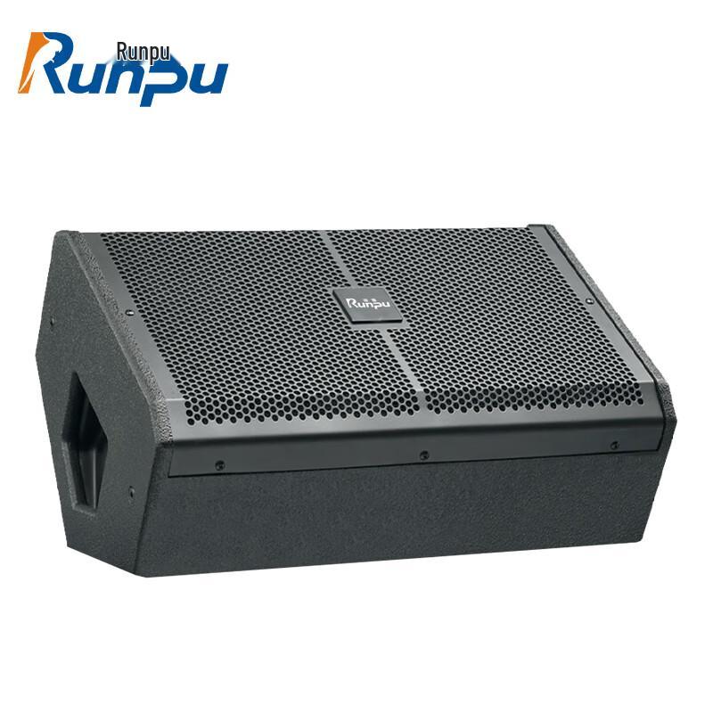 Runpu 12-inch Full-Range Passive Monitor Speaker (CN version)