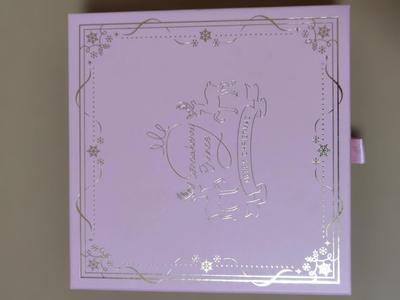 [GEBRAUCHT] STPR 4. Studioalbum Limitierte Edition Weihnachtsgeschenk-BOX
