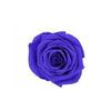 P-1  21 Preserved Roses in a Box Wedding Decor Floral Arrangements Wedding Dried Flower Home Decor Baby Shower Flowers 2~3cm