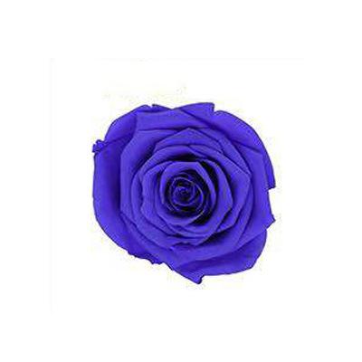 P-1 21 Preserved Roses in a Box Wedding Decor Floral Arrangements Wedding Dried Flower Home Decor Baby Shower Flowers 2~3cm