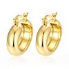 European and American Fashion Trend Stainless Steel Earrings Women's Plated 18K Light Luxury High-end Irregular Geometric Earrings