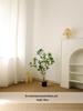 Artificial Green Plants for Indoor Decor – Potted Ornaments for Living Room or Coffee Table