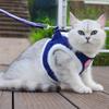 Autumn and Winter Warm Chihuahua Dog Harness with Fur, Pet Harness and Leash Set for Walking Dogs, Puppy Yorkies Mascotas Accessories