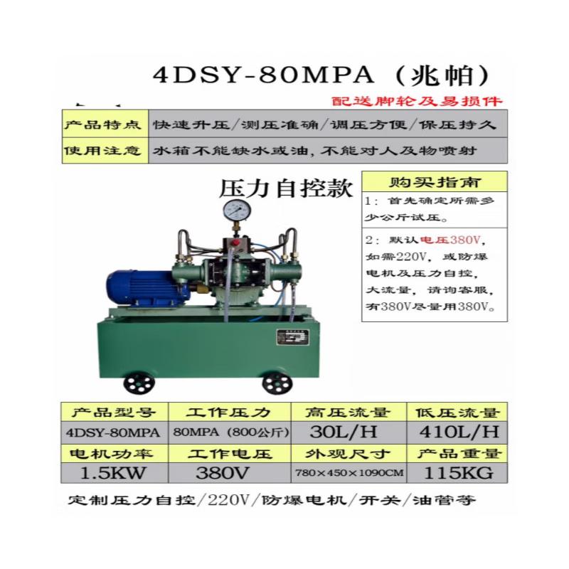 

Electric High-Pressure Test Pump CN plug (adapter included)