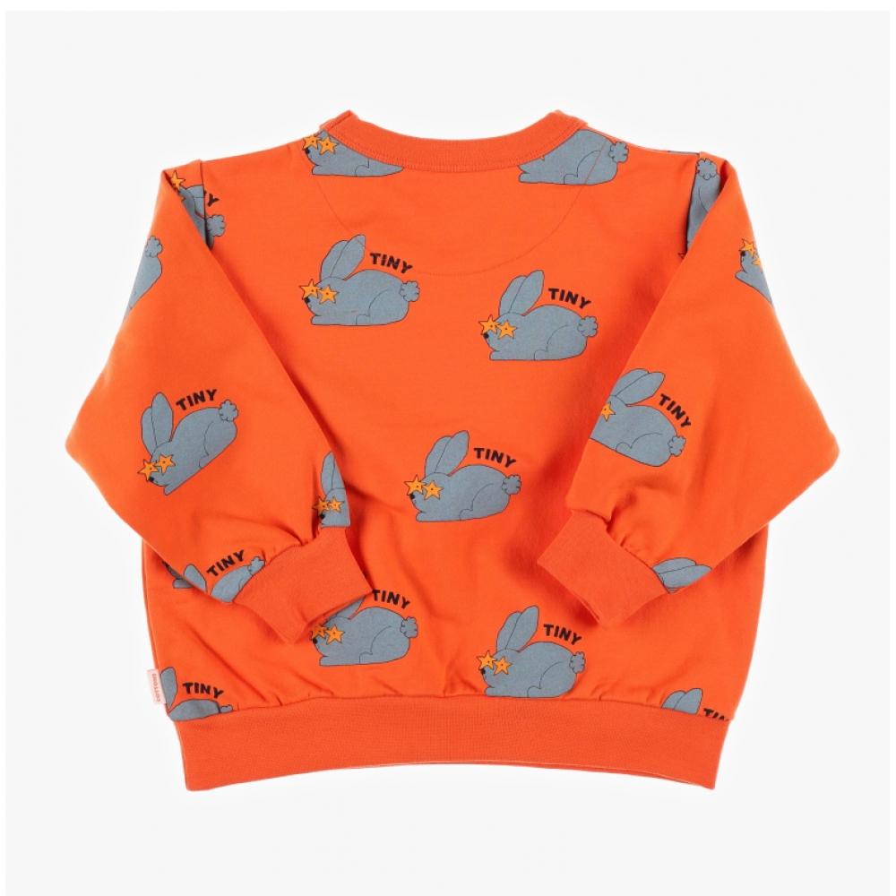 Tiny Cotton Aw24 059 J08  Rabbits Sweatshirt  Rabbit Kids Sweatshirt