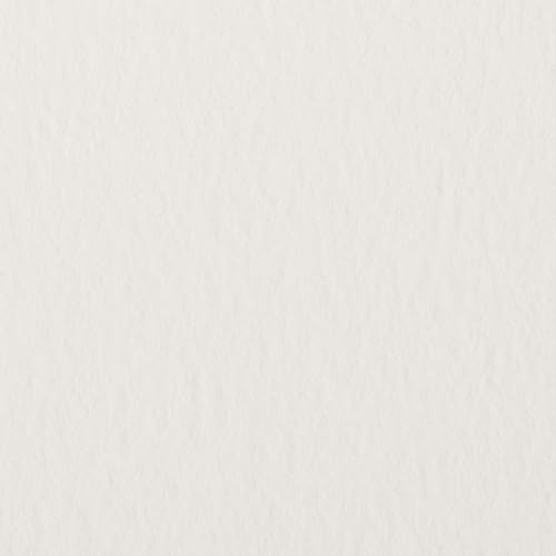 [Exklusiv bei Amazon.co.jp] Namurataiseidou Watson Aquarellpapier, Schwergewicht (190 g), 4-Schnitt (545mm x 394mm), 12 Blätter, NW-190NT4