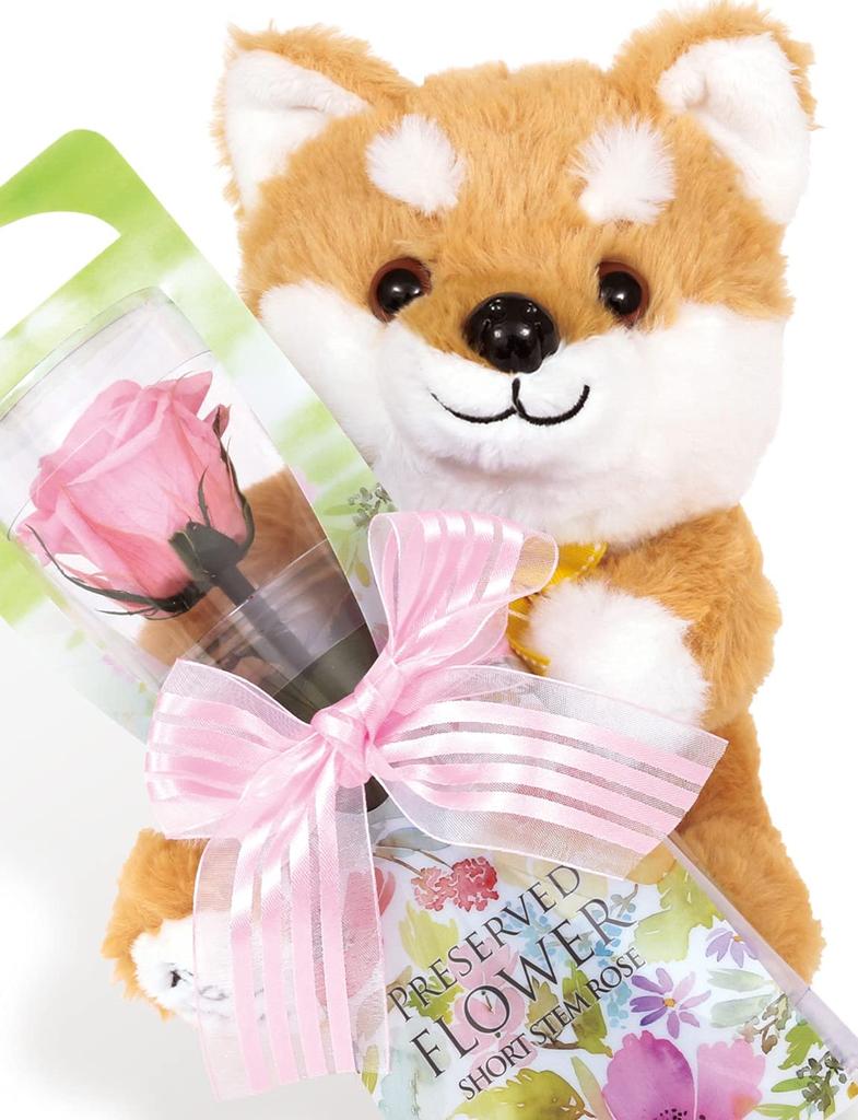 [liLYS Épice] Lilys Épice Preserved Flower Shiba Inu Plush Toy with Single Rose, Mother's Day Gift, Sp1pk (Pink Floral)