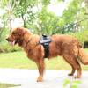 Personalized Reflective Dog Harness for Large Dogs