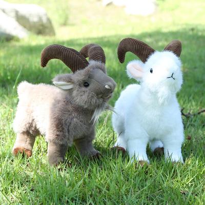 Bebek ve Peluş Oyuncaklar – Doldurulmuş ve Peluş oyuncak hayvanlar