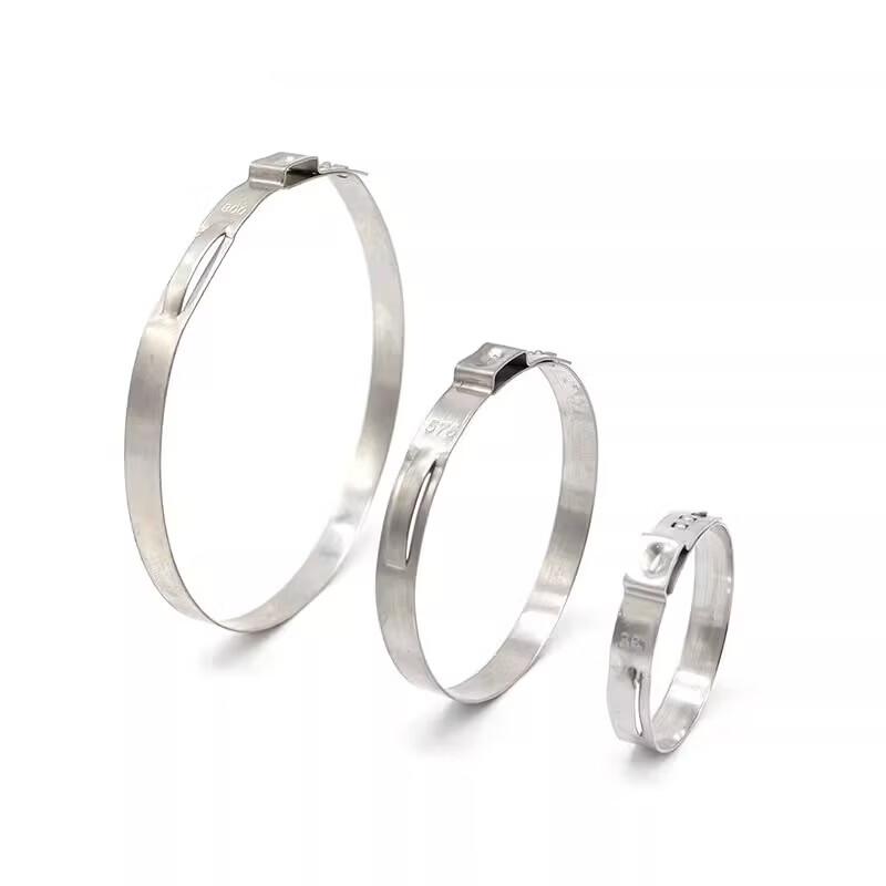 Junsong Single Ear 304 Stainless Steel Stepless Hose Clamps