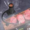 Handheld Kitchen Smoker for Molecular Cuisine - Ideal for Steak and Salmon