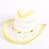 Popular European and American Fashion Hollow Woven Hat Straw Hat Men's and Women's Classic Outdoor Western Denim Straw Hat