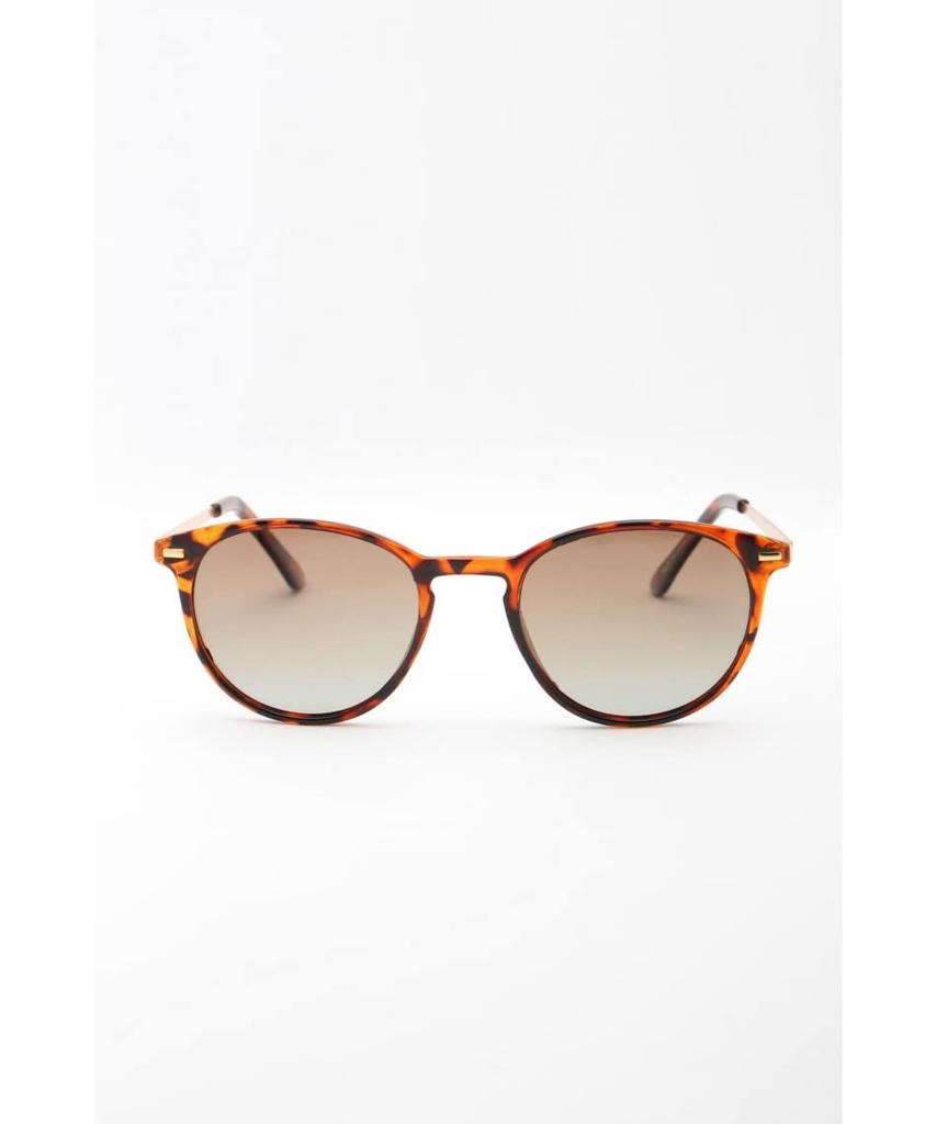 Coleman Polarized Sunglasses for Women SUNGLASS BK CLA08-2